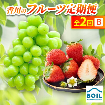 [発送月固定定期便]香川のフルーツ(2B)全2回[配送不可地域:離島・北海道・沖縄県]