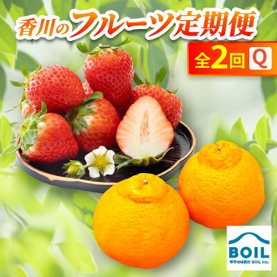 [発送月固定定期便]香川のフルーツ(2Q)全2回[配送不可地域:離島・北海道・沖縄県]