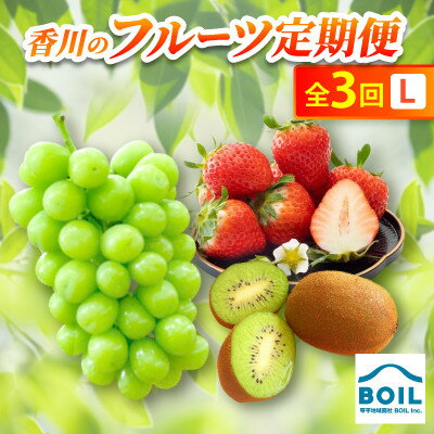 【ふるさと納税】【発送月固定定期便】香川のフルーツ(3L)全3回【配送不可地域：離島・北海道・沖縄県】【4083532】