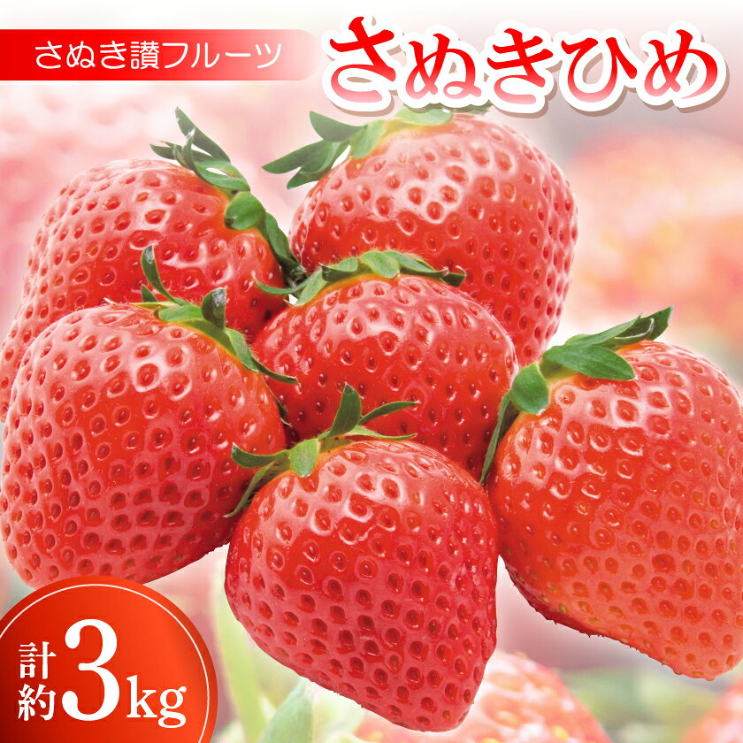 さぬき讃フルーツ「さぬきひめ」約3kg 【令和9年1～5月発送】【配送不可地域：離島・北海道・沖縄県・東北・信越、北陸】【1609805】