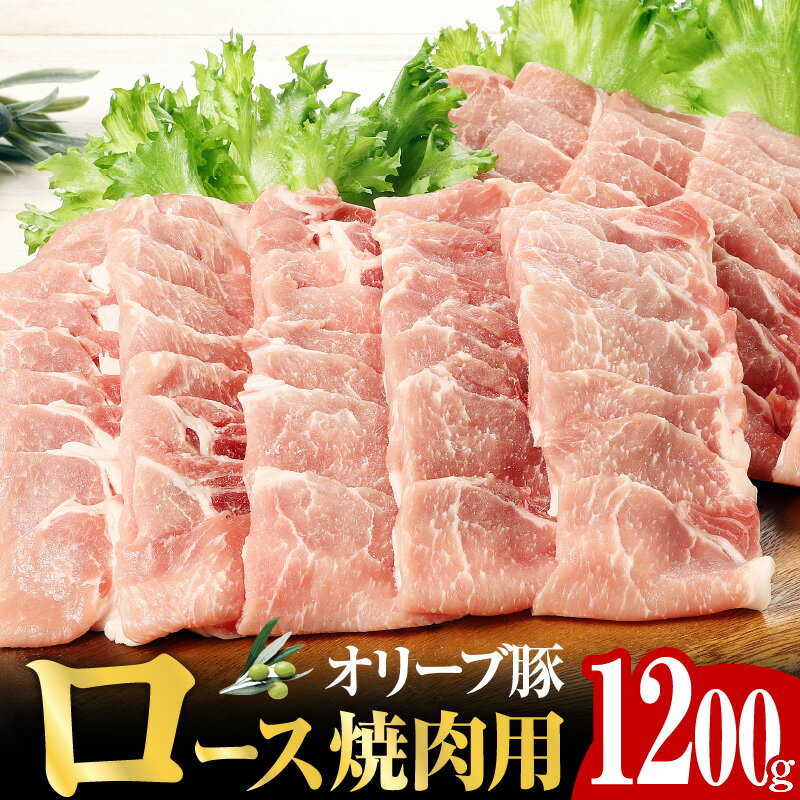 オリーブ豚 ロース 焼肉用 1200g オリーブ 豚肉 焼肉 プレミアム オレイン酸 ポリフェノール とろける あっさり 香川県 高松市 国産 ぶた 甘み うまみ 送料無料