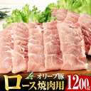 特産品説明 名称 【ふるさと納税】オリーブ豚ロース焼肉用 1200g ( 1200g × 1パック ) 5〜7人前 内容量 オリーブ豚 ロース 焼肉用 1200g 原産地:香川県 配送温度帯 冷凍 賞味期限 ■消費期限 加工日より14日 説明 瀬戸内の温暖な気候風土で育った香川県産オリーブには、オレイン酸やポリフェノールなどの抗酸化成分が多く含まれています。 このオリーブ搾油後の果実を加熱乾燥し飼料として与えると肉質が変化し、口の中で甘くとろけて、あっさりとした味わいになります。 オリーブの力で健康に育った肉質は今までの豚肉と違う、独自の味を楽しめます。 保水力が高く、肉汁を豊富に含んだ「オリーブ豚」は甘みと旨みが豊かで、食材として幅広い料理に使うことができます。 注意事項 ※画像はイメージです。 発送期日 お申込みから1ヶ月以内に順次出荷予定 提供事業者 高松食肉事業協同組合 ・ふるさと納税よくある質問はこちら・寄附申込みのキャンセル、返礼品の変更・返品はできません。あらかじめご了承ください。【ふるさと納税】オリーブ豚ロース焼肉用 1200g ( 1200g × 1パック ) 5〜7人前