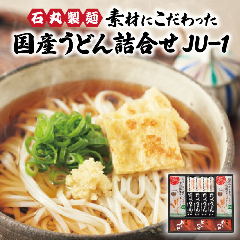 国産 うどん 詰合せ 素材 こだわり うどんセット 2種 うどん詰め合わせ めんつゆ つゆ つゆ付き 細うどん 細麺 細麺うどん 細づくり さぬきの夢 さぬきの夢うどん 香り 旨み 石丸製麺 香川 香川のうどん 香川県 高松市 送料無料