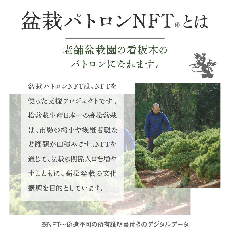 【ふるさと納税】盆栽 パトロン NFT ゴールド ランク 北谷養盛園 盆栽園 北谷隆一氏 盆栽管理 コミュニティ 高松盆栽 文化振興 文化 伝統 非日常体験 パトロンNFT 顕彰 支援 インフルエンサー 特典 老舗 看板木 香川県 高松市 送料無料