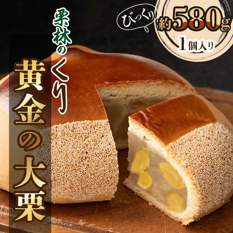 【ふるさと納税】銘菓 栗林のくり 黄金の大栗 まんじゅう 580g 1個 湊屋 栗林公園 普通の饅頭約20個分の大きさ 国産 栗 白あん 大粒 和菓子 お菓子 ギフト プレゼント サプライズ スイーツ お取り寄せ 香川県 高松市 送料無料