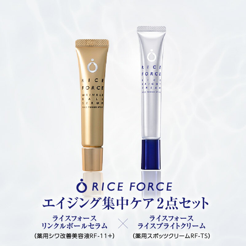 【ふるさと納税】000063.エイジング集中ケア2点セット | ライスパワー ケア 肌ケア 集中ケア スペシャルケア 美容液 しわ改善 保湿 薬用 薬用しわ改善...