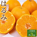 【ふるさと納税】訳あり ご家庭用 はるみ 約3kg【2026-2月上旬〜2026-3月下旬配送】 | みかん ミカン 果物 フルーツ 柑橘 プチプチ 弾ける 甘...