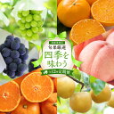 【ふるさと納税】【定期便全12回】旬果厳選!四季を味わう単品定期便♪ | フルーツ 果物 くだもの 食品 人気 おすすめ 送料無料|詳細画像