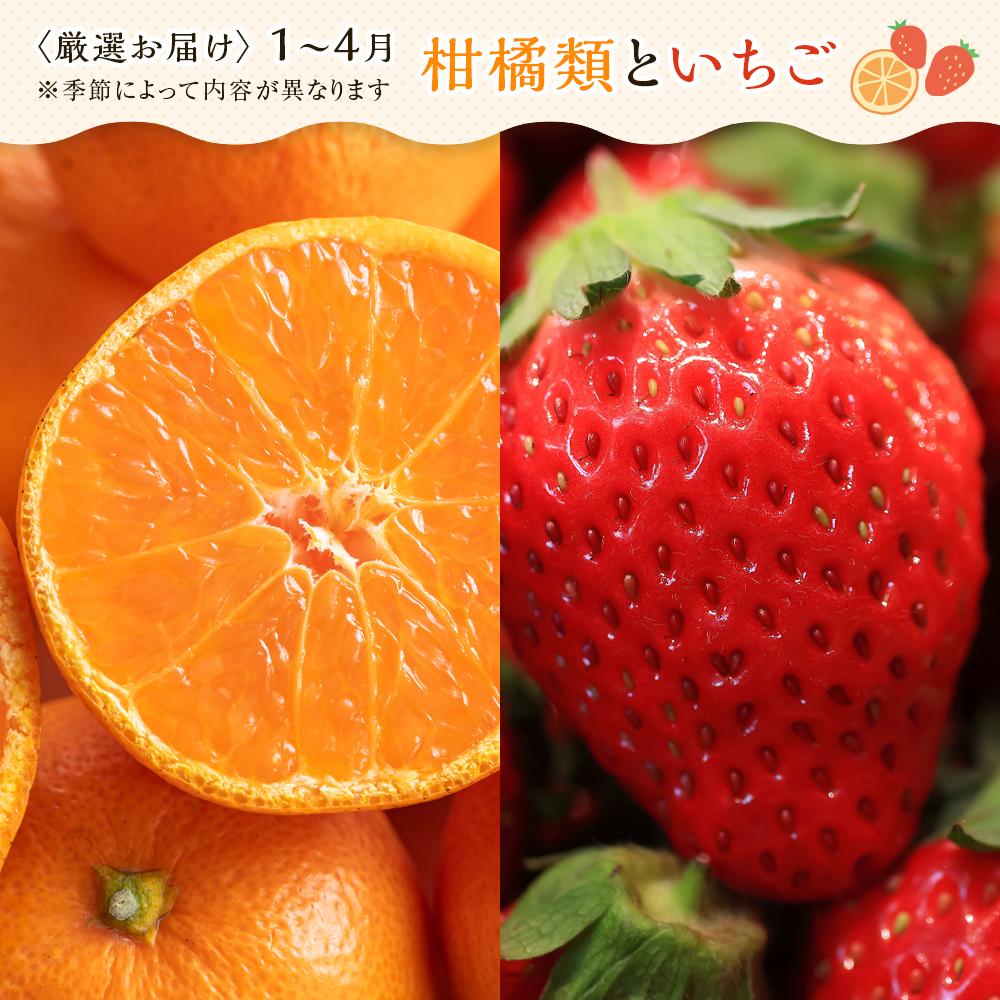 【ふるさと納税】【4ヶ月連続定期便】 創業130余年！老舗果物店の厳選フルーツ詰合せ♪大満足セット（5～8品種） | フルーツ 果物 くだもの 食品 人気 おすすめ 送料無料