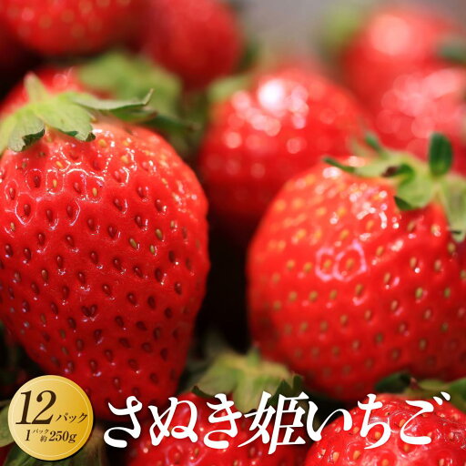 【ふるさと納税】【2026年1月中旬より順次発送】さぬき姫いちご 12パック(1パック約250g) | フルーツ 果物 くだもの 食品 人気 おすすめ 送料無料 【ふるさと納税】【2026年1月中旬より順次発送】さぬき姫いちご 12パック(1パック約250g) | フルーツ 果物 くだもの 食品 人気 おすすめ 送料無料