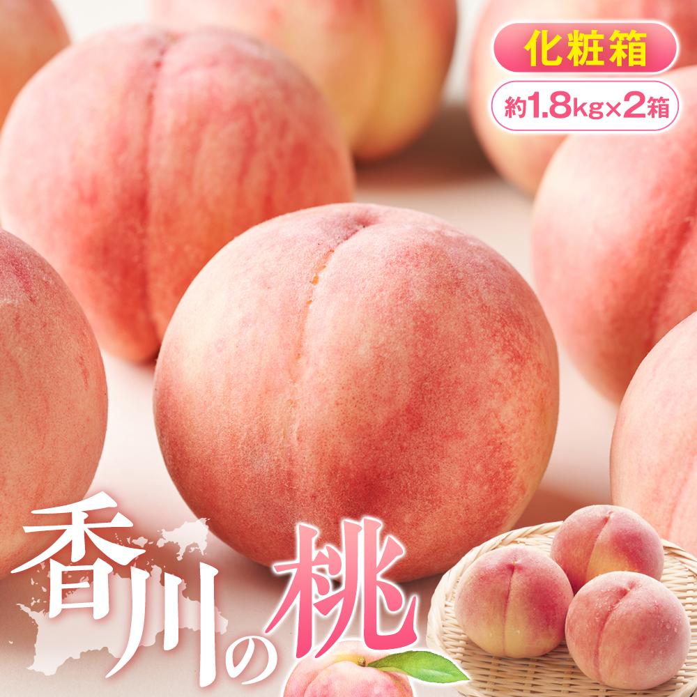 【ふるさと納税】香川の桃 化粧箱 約1.8kg×2箱【2025-6月中旬~2025-8月上旬配送】 | 果物 モモ フルーツ 瀬戸内 香川県 高松市