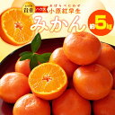【ふるさと納税】とっても貴重 ハウス小原紅早生みかん 約1kg【2026-6月中旬〜2026-8月上旬配送】 | みかん 果物 フルーツ 送料無料 産地直送 食...