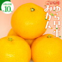 【ふるさと納税】ご家庭用 ゆら早生 みかん 約10kg【2025-9月下旬〜2025-11月上旬配送】 | 早生みかん 早生 小粒サイズ みかん 小粒 爽やか ...