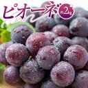 【ふるさと納税】ピオーネ 約2kg【2025-7月中旬〜2025-9月下旬配送】 | 果物 フルーツ ぶどう ブドウ 葡萄 贈答 ギフト 自宅用 冷蔵 濃厚 大...