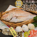 【ふるさと納税】天然真鯛の浜焼1尾(6人〜7人前) | 蒸し上げ 逸品 ゆで卵 5個 瀬戸内海 食塩 鶏卵 冷蔵 坂出の塩 酒のあて アレンジ 鯛めし 水産品 ...