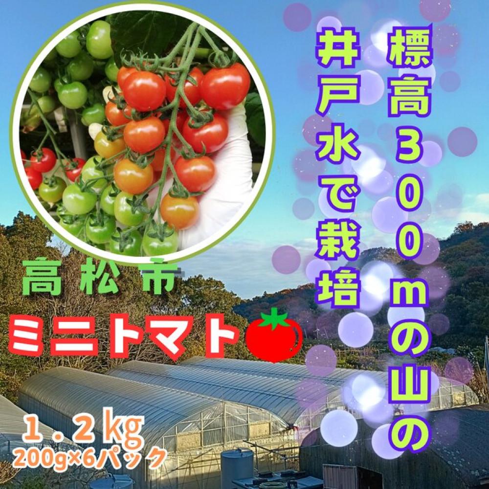 【ふるさと納税】ミニトマト1.2kg (200g×6パック詰め) | 野菜 やさい 食品 トマト ミニトマト 香川県 高松市