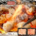 【ふるさと納税】国産牛 ホルモン二種セット1000g | 肉 お肉 にく 食品 香川県産 人気 おすすめ 送料無料 ギフト