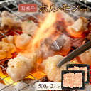 【ふるさと納税】国産牛 ホルモンセット 1000g | 肉 お肉 にく 食品 香川県産 人気 おすすめ 送料無料 ギフト