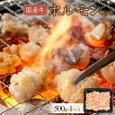 【ふるさと納税】国産牛 ホルモンセット 500g | 肉 お肉 にく 食品 香川県産 人気 おすすめ 送料無料 ギフト
