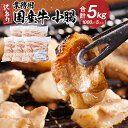 【ふるさと納税】《業務用・訳アリ》国産牛 小腸 5kg | 肉 お肉 にく 食品 人気