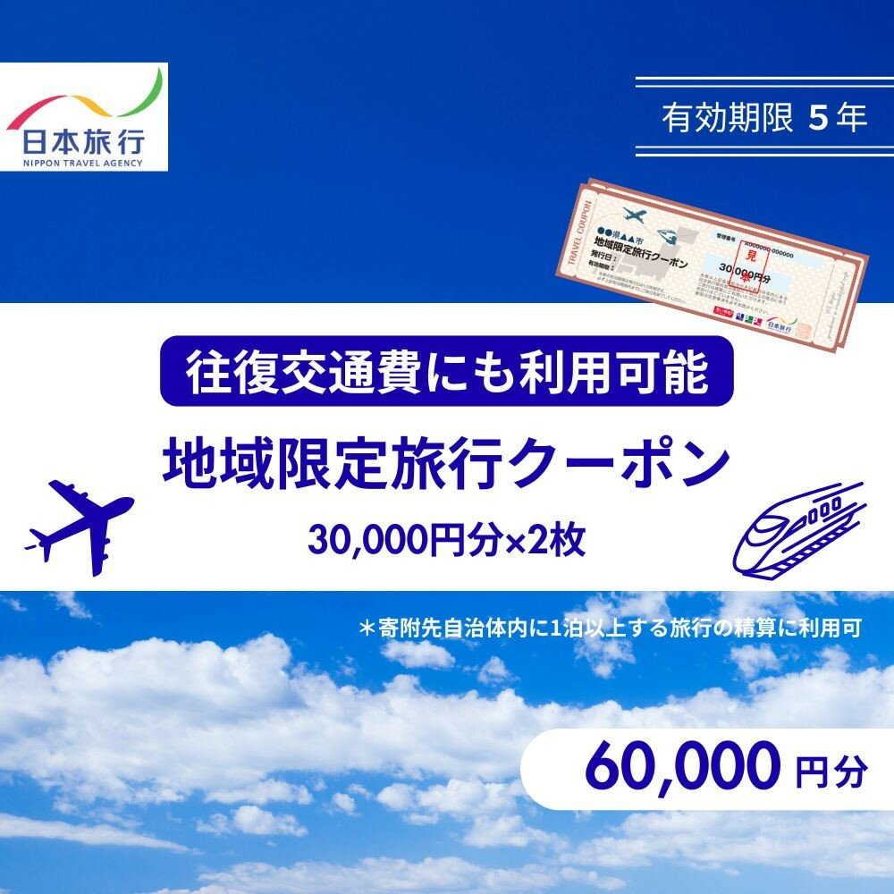 【ふるさと納税】香川県高松市 日本旅行 地域限定旅行クーポン60,000円分