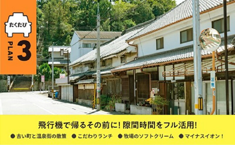 【ふるさと納税】たくたび高松 観光タクシー プラン3 招待券 1枚 タクシー チケット 券 利用券 高松タクシー協会 おもてなし 優良 ドライバー 高松 案内 観光地 旅行 トラベル 体験 宿泊 送料無料その2