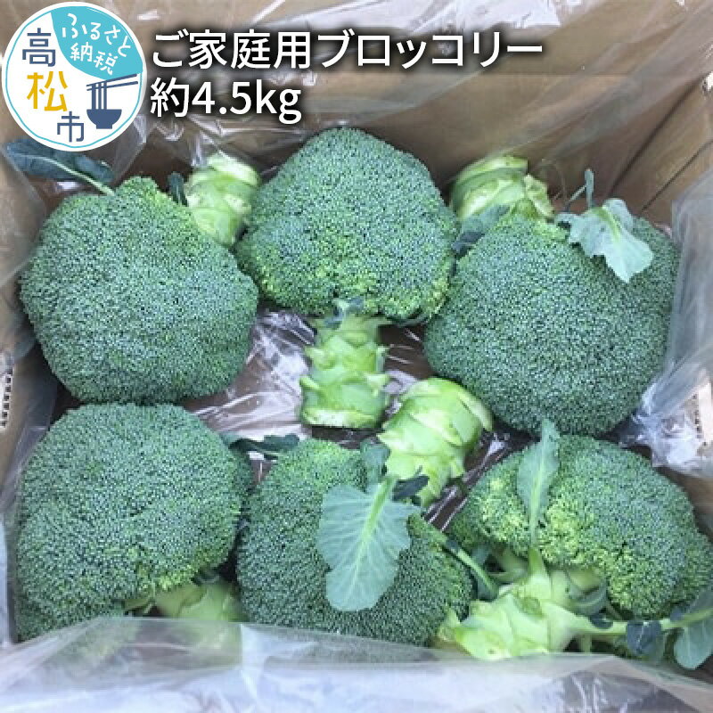 【ふるさと納税】ブロッコリー 約 4.5kg 訳あり 鮮度抜群 新鮮 柔らかい 甘い 野菜 人気 栄養豊富 国産 自宅用 お取り寄せ 家庭用 ベジタブル ベジタリアン 冷蔵 香川県 高松市 送料無料