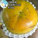 【ふるさと納税】 太秋柿 3kg 訳あり 家庭用 小玉 柿 