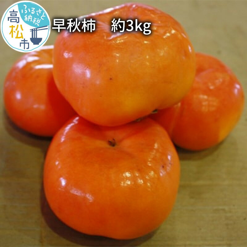 早秋 柿 約3kg【2024-9月中旬～2024-10月中旬配送】 | 柿 果物 フルーツ ギフト 贈答用 贈り物 プレゼント 食品 グルメ 人気 おすすめ オススメグルメ お取り寄せ お取り寄せグルメ 産地直送 旬 香川県 高松市 甘柿 ジューシー 柔らかい
