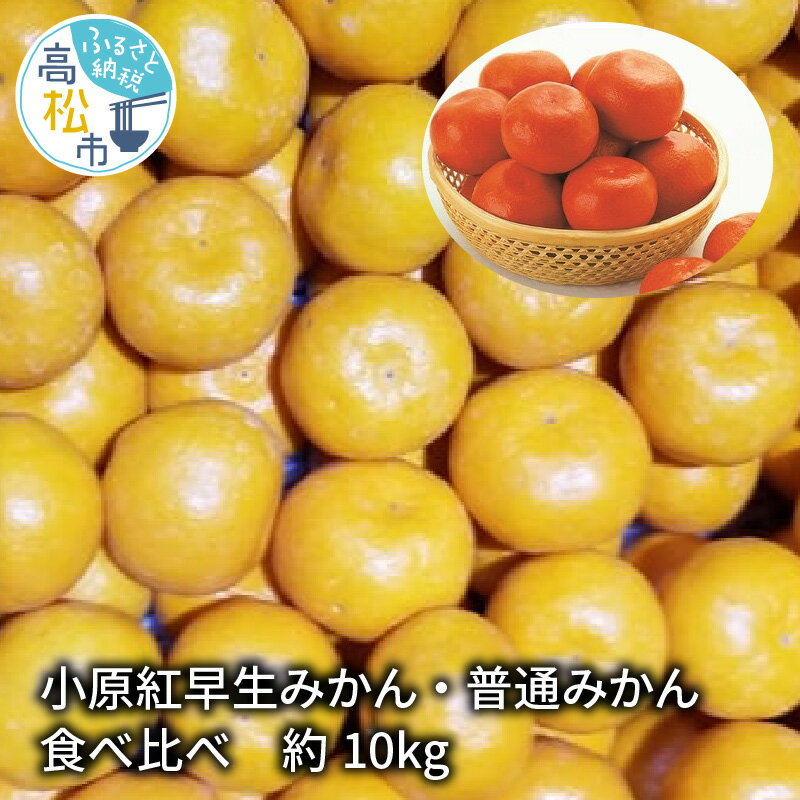 【ふるさと納税】 小原紅早生みかん 普通みかん 食べ比べ 約10kg 11月中旬 1月中旬 早生 みかん フルーツ 果物 果実 国内 国産 香川県 果物 紅色 柑橘 ミカン 蜜柑 小原紅早生 甘い お取り寄せ 送料無料