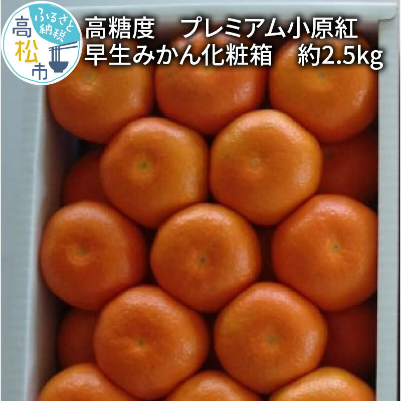 【ふるさと納税】 高糖度 プレミアム小原紅早生みかん 化粧箱 約2.5kg 11月中旬 1月中旬 蜜柑 ミカン オリジナル品種 紅色 ギフト 贈答用 フルーツ 果物 贈り物 送料無料