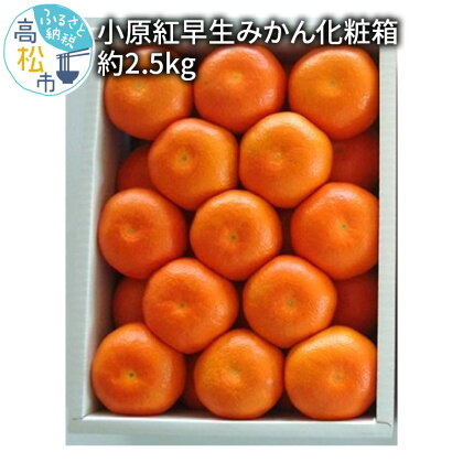 小原紅早生みかん 化粧箱 約2.5kg 11月中旬 1月中旬 みかん ミカン 蜜柑 柑橘 果実 フルーツ 果物 デザート 贈答 ギフト 香川県 高松市 送料無料