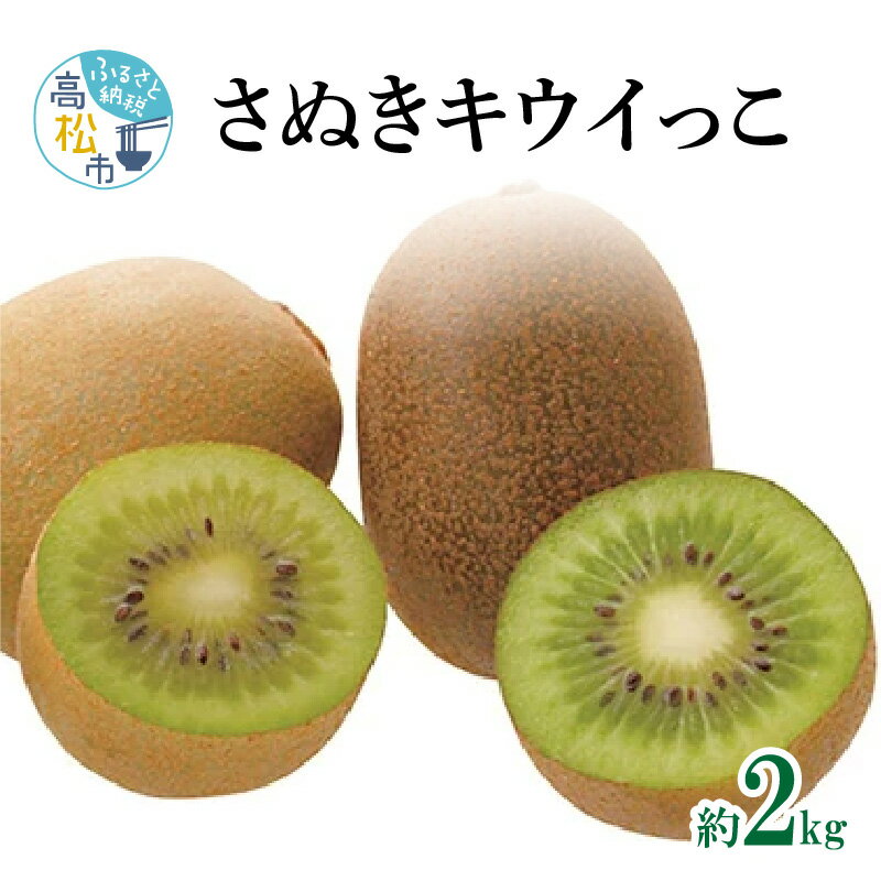 さぬき キウイっこ 約2kg 10月下旬 12月下旬 キウイ 甘い 果物 フルーツ デザート スイーツ 産地直送 食品 人気 おすすめ お取り寄せ お取り寄せグルメ 送料無料