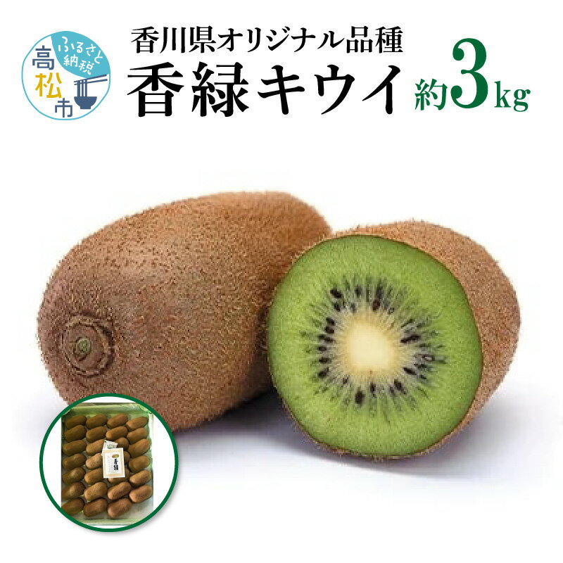 【ふるさと納税】香緑キウイ 約3kg【2025-11月下旬〜2026-3月下旬配送】 | 香緑 キウイ キウイフルーツ 果物 フルーツ デザート スイーツ おや...