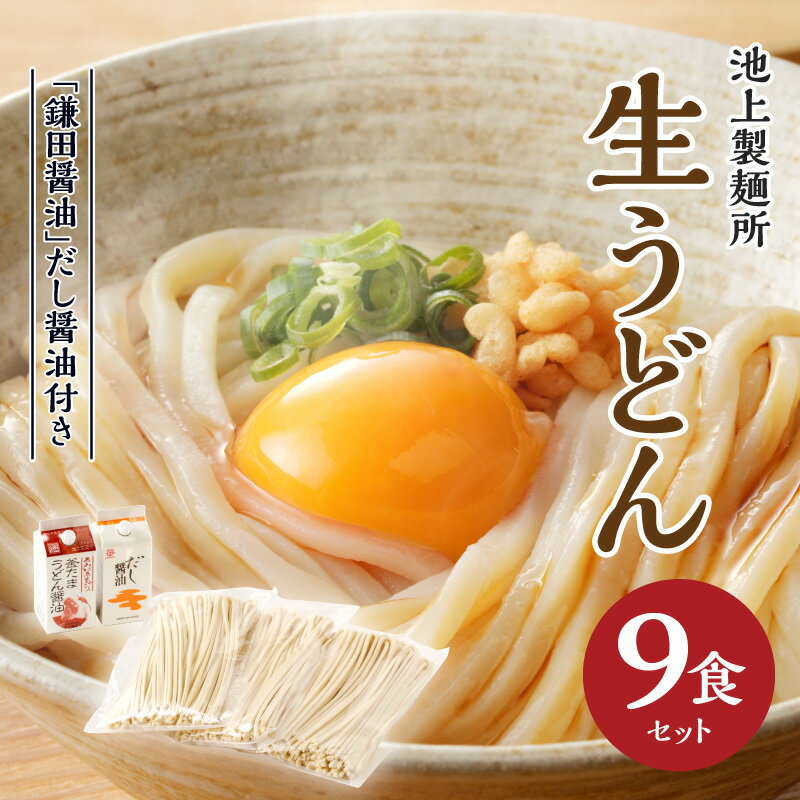 【ふるさと納税】 本家 池上製麺所 生うどん 9食 鎌田 醤油 だし醤油 うどん セット もっちり ツルツル 弾力 コシ 喉越し 生麺 麺類 食卓 シンプル 釜たまうどん 生醤油うどん 長年 定番 手作り 送料無料