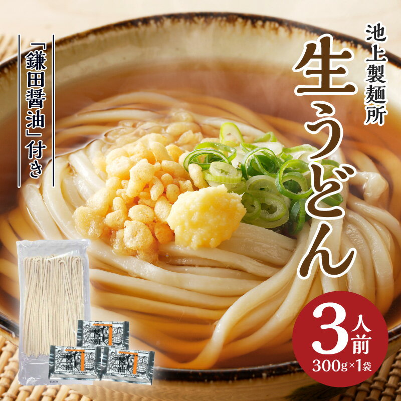 【ふるさと納税】うどん 香川県高松市 生うどん さぬきうどん 鎌田醤油付 1袋 3人前 本家 池上製麺所 昭和32年創業 アイドル的存在るみ..