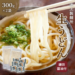 【ふるさと納税】うどん 香川県高松市 生うどん さぬきうどん 鎌田醤油付 2袋 6人前 本家 池上製麺所 昭和32年創業 アイドル的存在るみおばあちゃんのお店 もっちりと弾力のあるコシの強さとツルツルとした喉越しのよさが自慢 手作業 送料無料