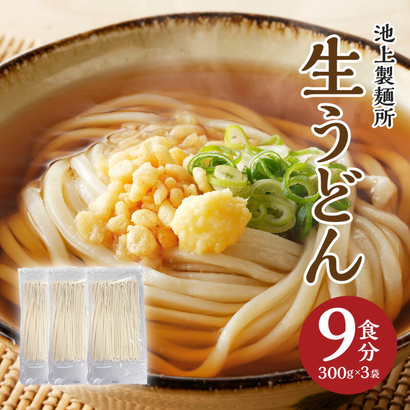 【ふるさと納税】本家 池上製麺所 生うどん 9食 麺のみ う