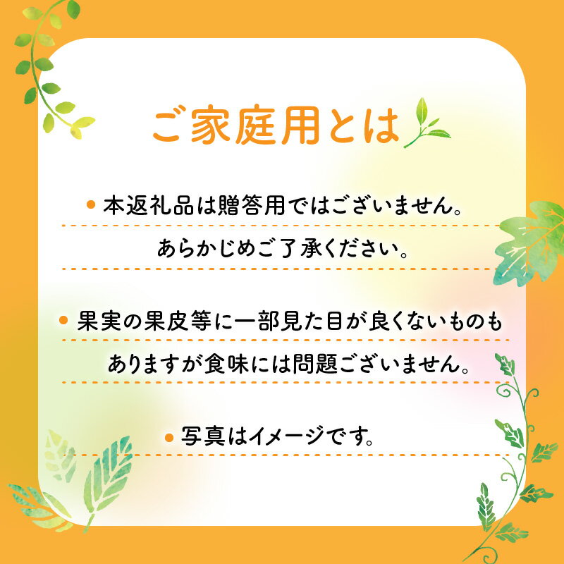 【ふるさと納税】家庭用 太秋柿 早秋柿 小玉 食べ比べ 6kg 柿 果物 フルーツ 訳あり デザート おやつ 果肉 肉厚 甘柿 シャキシャキ お取り寄せ お取り寄せグルメ 送料無料