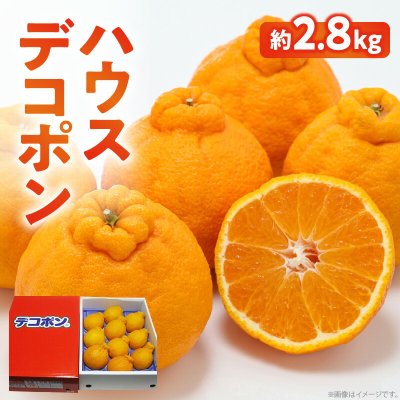 デコポン 約2.8kg ハウスデコポン みかん ハウス栽培 柑橘 果実 果物 フルーツ 薄皮 薄皮ごと食べられる 自宅用 家庭用 デザート 贈り物 ギフト グルメ お取り寄せ お取り寄せフルーツ 香川県 高松市 送料無料