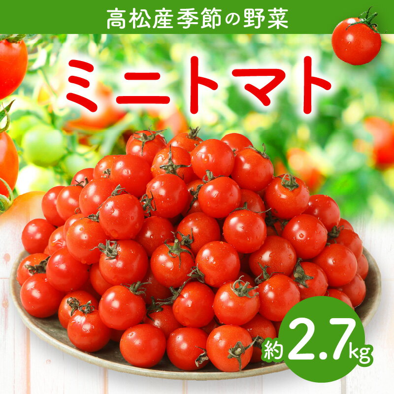 【ふるさと納税】ミニトマト 約 2.7kg トマト プチトマト 野菜 甘味 酸味 バランス 夏野菜 高品質 産地直送 家庭用 自宅用 贈り物 お取り寄せ お取り寄せ野菜 冷蔵 香川県 高松市 送料無料