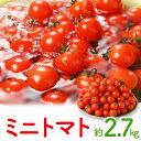【ふるさと納税】ミニトマト約2.7kg【2024-11月上旬〜2025-6月中旬配送】 | トマト プチトマト 野菜 甘味 酸味 バランス 夏野菜 高品質 産地...