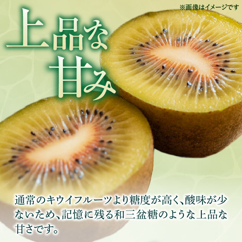 【ふるさと納税】厳選大玉 さぬきエンジェルスイート 化粧箱 約1kg【2025年11月中旬～2026年2月上旬配送】 | ギフト 贈り物 贈答用 贈答 プレゼント 果物 フルーツ デザート スイーツ 青果物 青果 産地直送 旬 旬の果物 季節 季節の果物 人気 お取り寄せ お取り寄せグルメ
