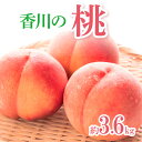 【ふるさと納税】香川の桃 約3.6kg【2025年6月中旬〜2025年8月上旬配送】 | 桃 果物 フルーツ デザート スイーツ 青果 青果物 果実 果肉 果汁...