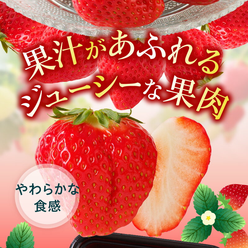 【ふるさと納税】訳あり いちご 約250g 8パック 合計2kg さぬきひめいちご 家庭用 自宅用 お取り寄せ デザート おやつ さぬきひめ 果物 フルーツ 野菜 果実的野菜 果汁 高松市産 送料無料