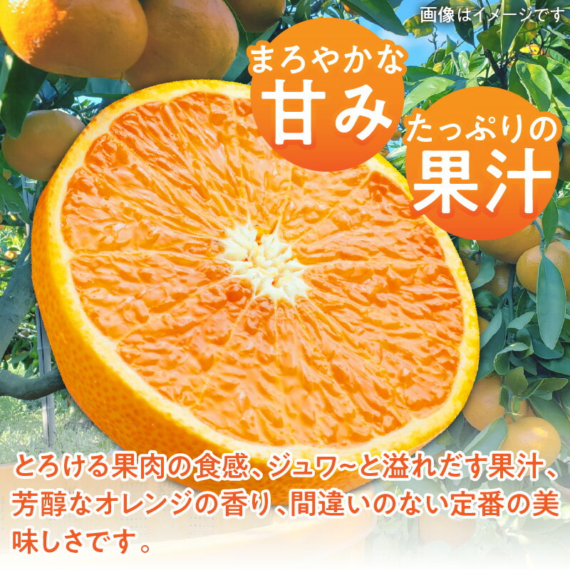 【ふるさと納税】 《訳あり》 キズ 焼け バラ 家庭用 清見オレンジ 約7kg 清見 オレンジ たっぷり ジューシー みかん 果物 フルーツ 柑橘 柑橘類 青果 青果物 農産物 国産 高松市産 プチプチ 弾ける 甘い 果汁 果肉 果汁 爽やか 丸ごと おすそ分け 香川県 高松市 送料無料