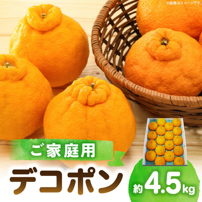 【ふるさと納税】 家庭用 デコポン 約4.5kg みかん 果物 フルーツ 柑橘 定番品種 定番 蜜柑 果実 香川県 高松市 自宅用 食品 食べ物 お取り寄せ おすそ分け 2月下旬～4月上旬発送 送料無料