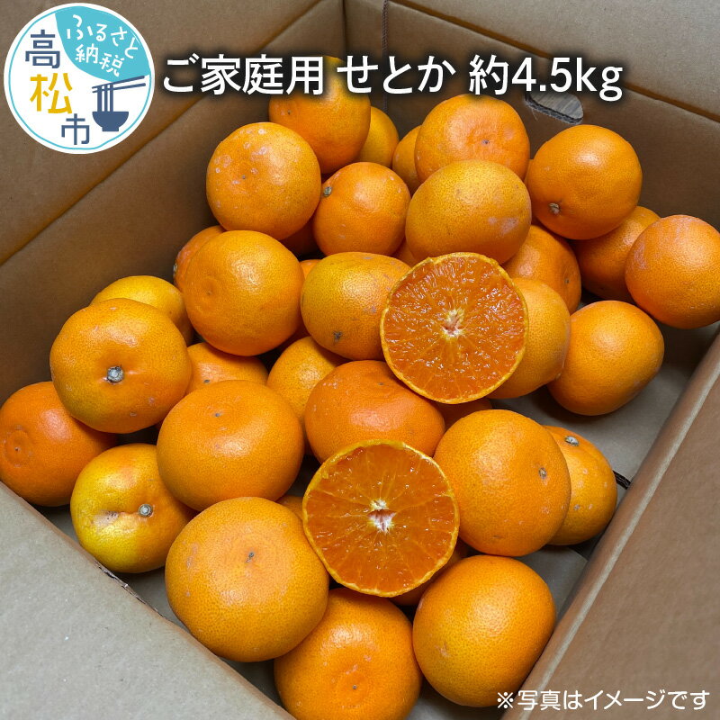 34位! 口コミ数「1件」評価「1」 ご家庭用 せとか 約4.5kg みかん ミカン 果物 フルーツ ジューシー 濃厚 プチプチ 弾ける 甘い 大粒 果肉 果汁 たっぷり 爽や･･･ 