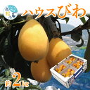 【ふるさと納税】ハウス びわ 約2kg ジューシー 甘い 甘味 酸味 爽やか 水分が豊富 みずみずしい 夏果物 果物 フルーツ ハウス栽培 瀬戸内気候 お取り寄せ 香川県 高松市 送料無料