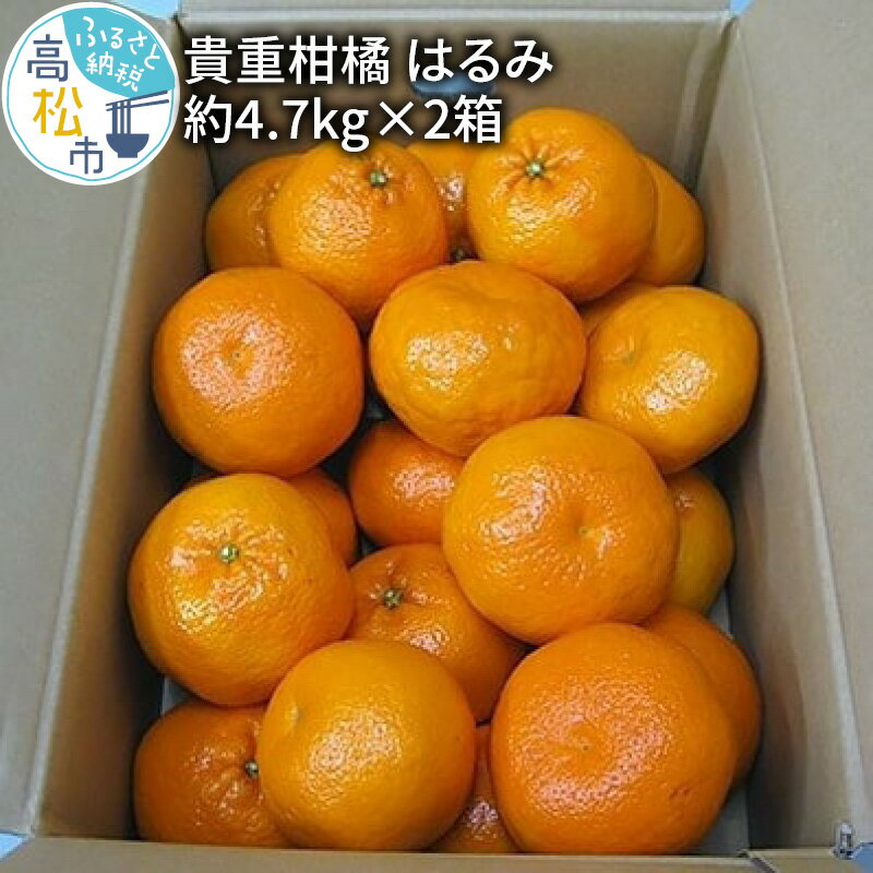 【ふるさと納税】 貴重柑橘 はるみ 約4.7kg 2箱 みか